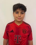 kamil sary takieddine