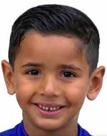 mohamad el mir