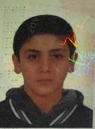 joe sassine